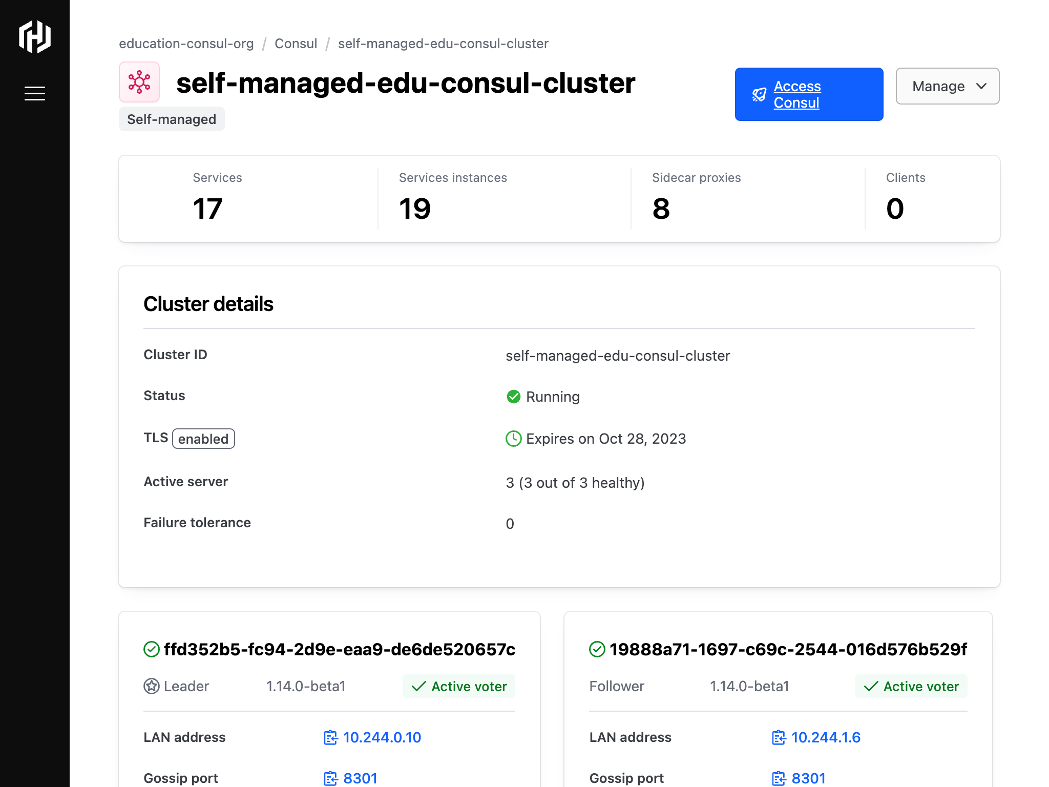 Self managed Consul cluster information that users can use to securely access to the Consul dashboard.
