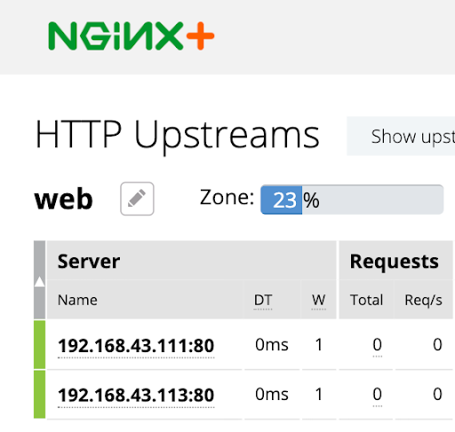 NGINX statistics page displays two serves