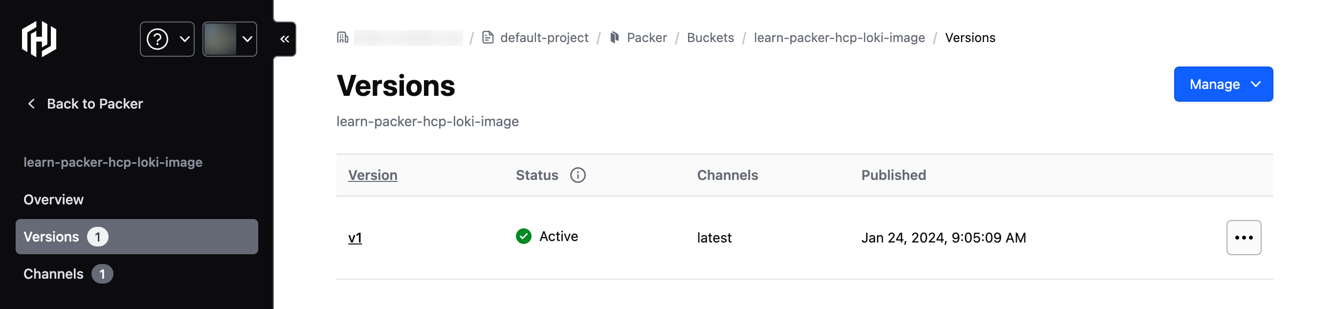 Versions page for bucket named learn-packer-hcp-loki-image