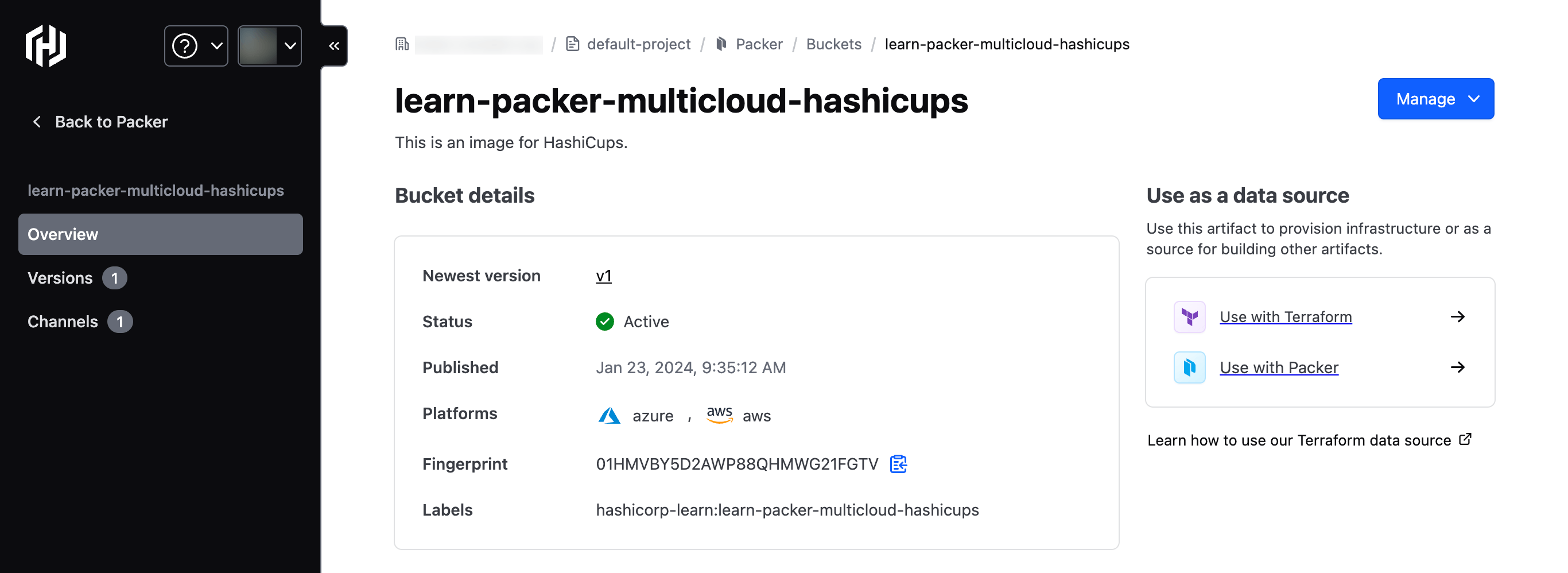 The `learn-packer-multicloud-hashicups` bucket in HCP Packer