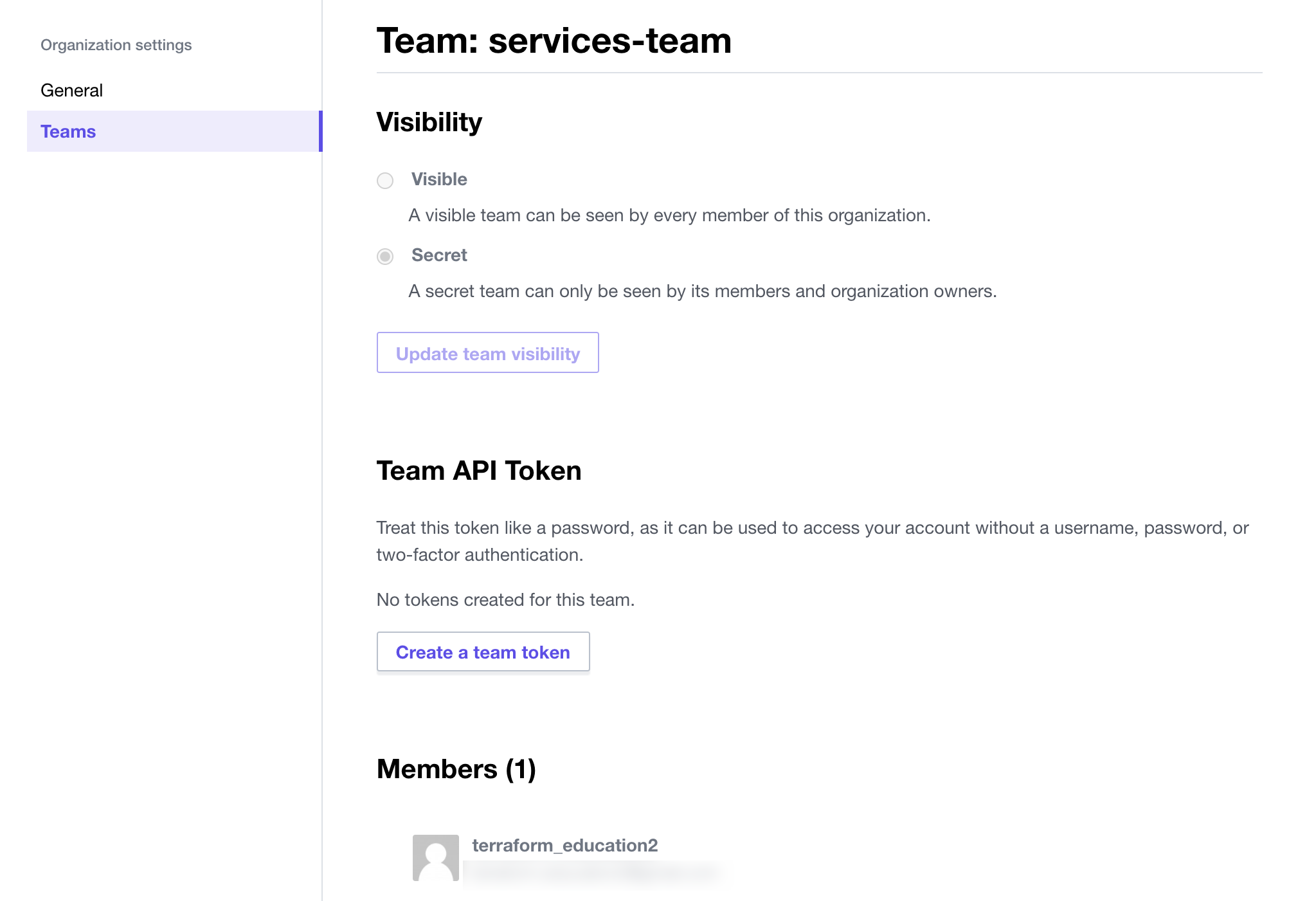 View services-team settings and members