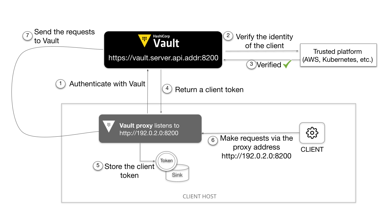 Vault proxy Workflow